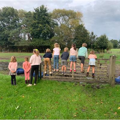 Boerderij voor- of namiddag