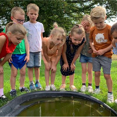 Boerderij voor- of namiddag