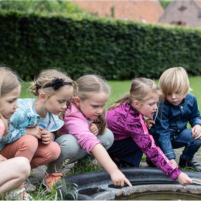 Boerderij voor- of namiddag