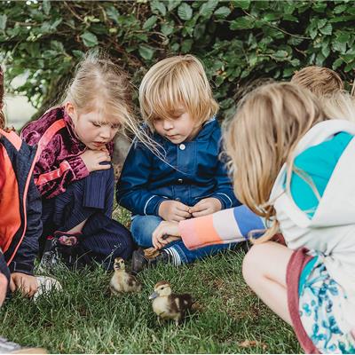 Boerderij voor- of namiddag