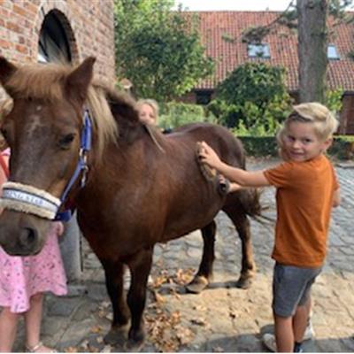 Boerderij voor- of namiddag