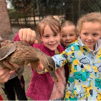 Boerderij voor- of namiddag