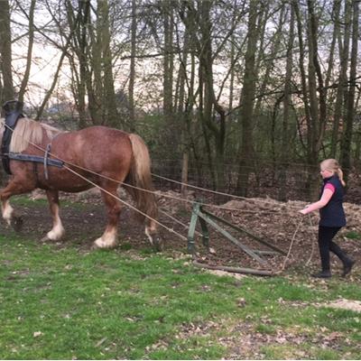 Hoeve Brughmans - Kalmthout